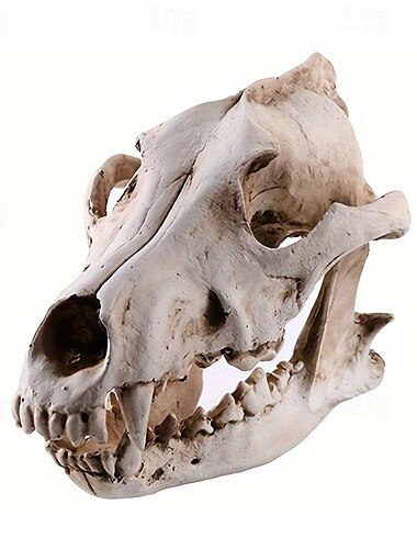  1 majestätische Wolfskopf-Statue aus Kunstharz – vielseitige Totenkopf-Dekoration für Zuhause und Büro, ideal für Bücherregale, Wohnzimmer oder Foyer, langlebiges Kunstharzmaterial, passt in