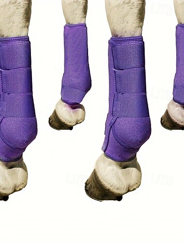 4 מגפי רכיבה נושמים - נוחות ועמידות אולטימטיביות לסוסים פעילים, ללא סוללה   4 מגפי רכיבה נושמים - נוחות ועמידות אולטימטיביות לסוסים פעילים, ללא סוללה