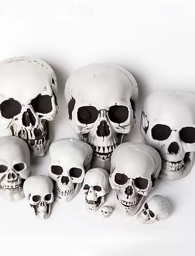  Accessoire de modèle de crâne humain d'Halloween, tête de squelette réaliste en plusieurs tailles, décoration de maison hantée effrayante pour la configuration de la scène de fête d'Halloween