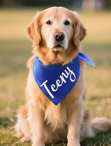  Personlig hundbandana med namn, anpassad present, mjuk halsduk med tydlig gravyr, unikt ID-tillbehör för dagliga promenader, fester, fotograferingar, present till hundälskare