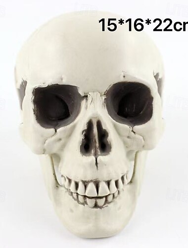 Halloween-model van een menselijke schedel, realistisch skelethoofd in verschillende maten, eng spookhuisdecor voor de opstelling van een Halloween-feestscène