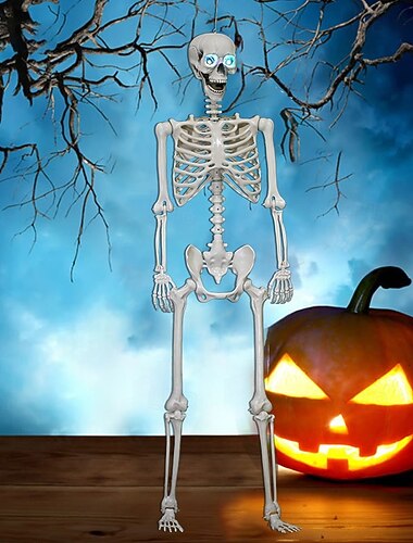  Poseable HALLOWEEN Life Size Decay Skeleton Human Prop Anatomy Quick Ship