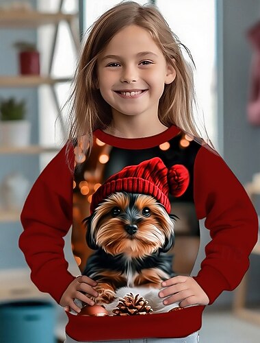  Chico 3D Perro Sudadera Manga Larga Primavera Otoño Moda Básico Niños 4-12 años Cuello Barco Exterior Casual Diario Ajuste regular