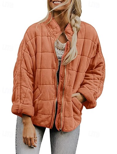  Γυναικεία Casual Jacket Άνετο Φερμουάρ Τσέπη Καθημερινό Σκέτο ΕΞΩΤΕΡΙΚΟΥ ΧΩΡΟΥ Αργίες Φερμουάρ Κανονικό Όρθιος Γιακάς Κανονικό Μακρυμάνικο Εξωτερικά ενδύματα Θαλασσί Πορτοκαλί Σκούρο γκρι