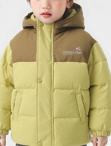  Barn Unisex Dunjacka Hoodiejacka Pufferjacka Ytterkläder Färgblock Långärmad Lättvikt Täcka Utomhus Dagligen Grundläggande Gul Grön Höst Vinter 4 år +