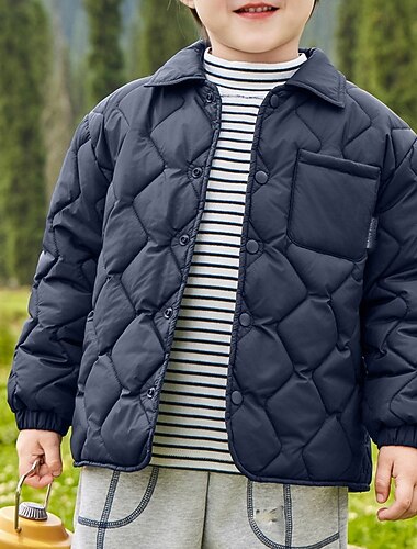  Infantil Unisexo Jaqueta de penas Casaco puffer agasalhos Côr Sólida Manga Longa Bolsos Comfort Botões Macia Respirável Casaco Ao ar livre Diário Básico Azul Verde Outono Inverno 4 anos +