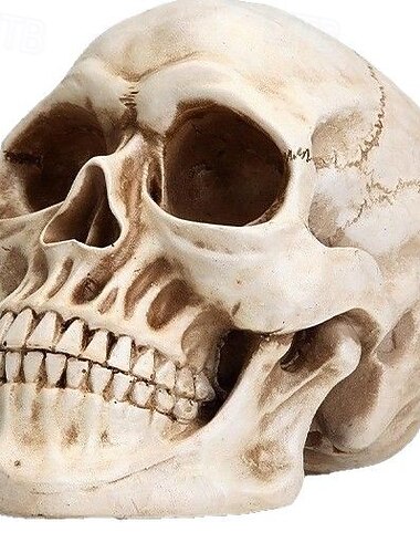  Decorazioni per feste di Halloween con teschio a grandezza naturale da 7,9 pollici, modello di testa umana per la decorazione della casa, statua di Halloween, modello di osso della testa di un