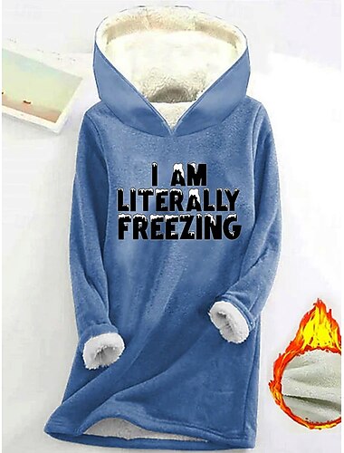  Dames Trui met capuchon Sweatshirt Grafisch Brief Casual Lange mouw Capuchon Normale tops Straat Dagelijks gebruik Casual Afdrukken Blozend Roze blauw Grijs Herfst Winter