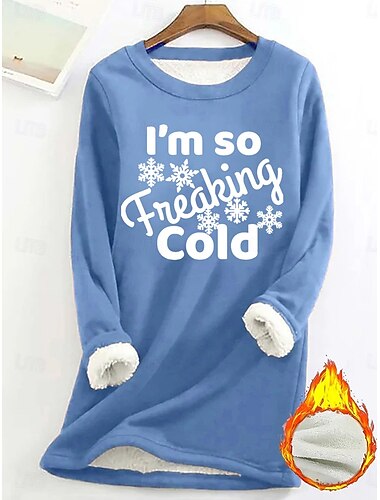  Dames Trui-sweatshirt Grafisch Brief Warm Casual Wazig Lange mouw Strakke ronde hals Ronde hals Lange tops Straat Casual Zwart Blozend Roze blauw Lente Herfst Winter