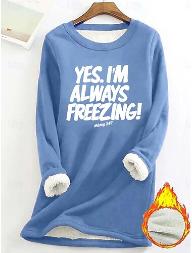  Dames Trui-sweatshirt Grafisch Brief Warm Casual Wazig Lange mouw Strakke ronde hals Ronde hals Lange tops Straat Casual Zwart Blozend Roze blauw Lente Herfst Winter