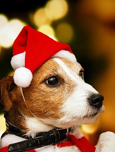 Gorro navideño para mascotas, gorro rojo de peluche de Papá Noel, accesorio festivo para disfraz de perro, atuendo adorable para mascotas, ideal para fiestas. &accesorio fotográfico   Gorro navideño para mascotas, gorro rojo de peluche de Papá Noel, accesorio festivo para disfraz de perro, atuendo adorable para mascotas, ideal para fiestas. &accesorio fotográfico