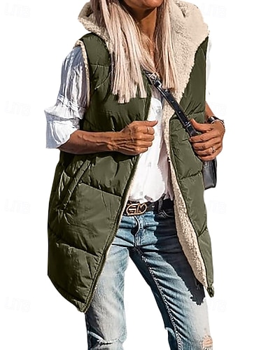  Γυναικεία Χειμερινό παλτό Veste Διατηρείτε Ζεστό Άνετο Φερμουάρ Τσέπη Καθημερινό Σκέτο Διακοπές Καθημερινά Ρούχα Εξόδου Σαββατοκύριακο Κανονικό Με Κουκούλα Κανονικό Αμάνικο Εξωτερικά ενδύματα