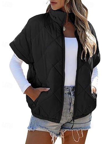  Γυναικεία Veste Διατηρείτε Ζεστό Άνετο Φερμουάρ Τσέπη Καθημερινό Σκέτο Διακοπές Καθημερινά Ρούχα Εξόδου Σαββατοκύριακο Κανονικό Όρθιος Γιακάς Κανονικό Αμάνικο Εξωτερικά ενδύματα