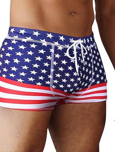  Homme Shorts de bain Short de bain Maillots de bain Élastique Respirant Bas Surf Bikini Plongée Rayures imprimé Été