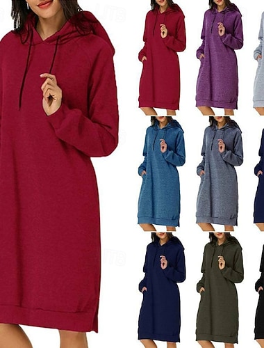  Γυναικεία Μίνι φόρεμα Φόρεμα με κουκούλα Μοντέρνα ΕΞΩΤΕΡΙΚΟΥ ΧΩΡΟΥ Διακοπές Αργίες Κανονικό Σκέτο Μακρυμάνικο Με Κουκούλα Μαύρο Ρουμπίνι Βαθυγάλαζο Θαλασσί Φθινόπωρο Χειμώνας