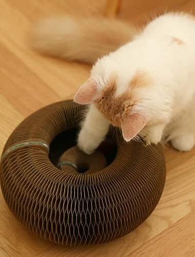  Magisch kattenspeelgoed, magische kattenkrabpaal, magische kattenspeelgoed ...