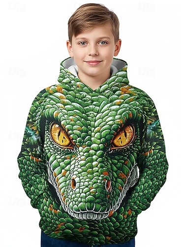  Ragazzi 3D Grafico Animale Dinosauro Felpa con Cappuccio Maglione Manica Lunga Stampa 3D Primavera Autunno Sport Moda Streetwear Bambini 4-12 Anni Con cappuccio All'aperto Casuale Quotidiano