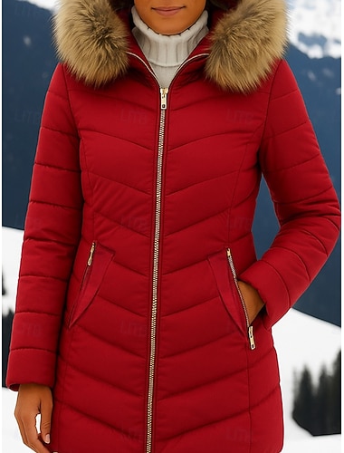  Γυναικεία Παρκάς Άνετο Αναπνέει Φερμουάρ Τσέπη Καθημερινό Σκέτο Διακοπές Δρόμος Καθημερινά Ρούχα Εξόδου Φερμουάρ Κανονικό Με Κουκούλα Κανονικό Μακρυμάνικο Εξωτερικά ενδύματα Μαύρο Κρασί Ρουμπίνι