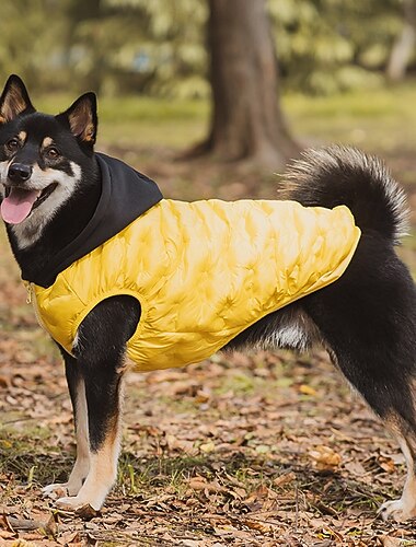  معطف كلاب للكلاب الصغيرة والمتوسطة، جاكيت شتوي مقاوم للماء للكلاب، معاطف للطقس البارد للجراء، سترة عاكسة للحيوانات الأليفة، صوف دافئ للكلاب، بدلة ثلج مقاومة للرياح