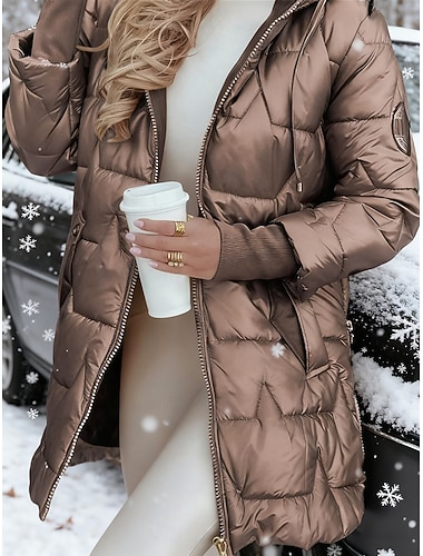  Damen Daunenjacke Steppjacke Freizeitjacke Warm Bequem Reißverschluss Tasche Mode Lässig Einfach Straße Alltagskleidung Ausgehen Reisverschluss Regulär Mit Kapuze Normale Passform Langarm