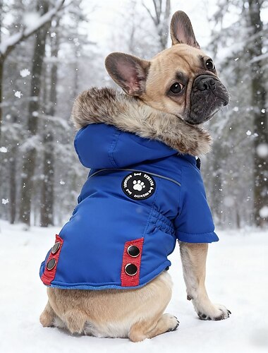  hundejakke med sele varm hundejakke vanntett valpejakke vinterjakke for kaldt vær justerbar fleecejakke for små mellomstore hunder