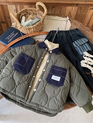  4+ anos Para Meninos Jaqueta de penas Jaqueta para atividades ao ar livre agasalhos Bloco de cor Manga Longa Botões Mantenha Quente Casaco Ao ar livre Diário Básico Preto Verde Tropa Outono Inverno 4