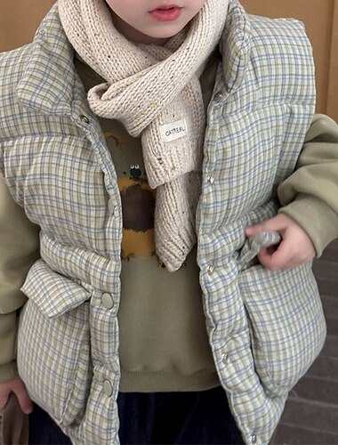  Barn Unisex Vest frakk Yttertøy Ruter Ermeløs Hold Varm Frakk utendørs Mote Daglig Grønn Høst Vinter 4 år +