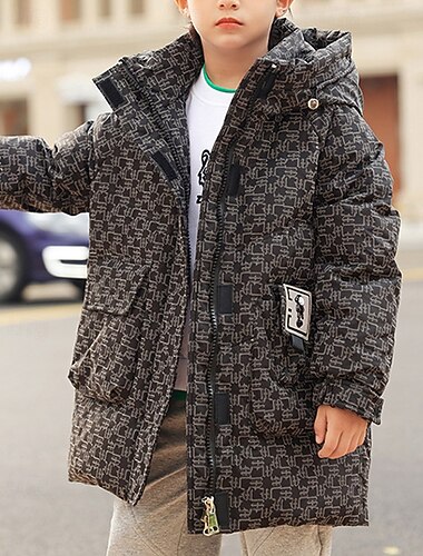  Kinderen Jongens Donsjack Hoodie jas Pufferjack bovenkleding Geometrisch Lange mouw Zak Houd Warm Windbestendig: jas Casual Dagelijks Basic blauw Zwart Groen Herfst Winter 4 jaar +