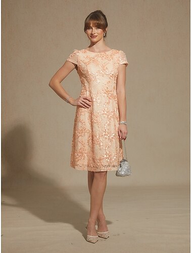  نسائي فستان قصير فستان شكل حرف A أنيق مناسب للبس اليومي ضيف حفل زفاف حفلة كوكتيل ترتر دانتيل الوهم عادي ورد كم قصير رقبة عالية مدورة شامبانيا