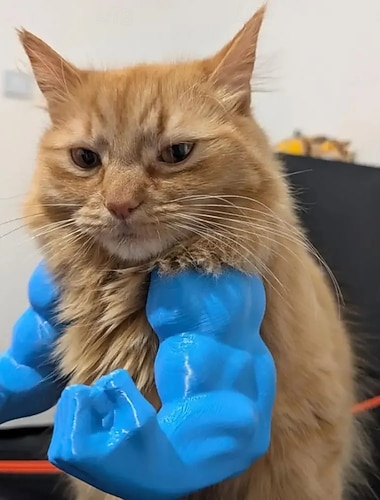  adereço engraçado de braço de gato impresso em 3D