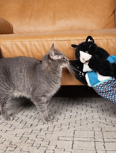  Gant de lutte pour chat, marionnette, jouet interactif, mitaine avec housse de protection résistante et herbe à chat - jeu &enrichissement