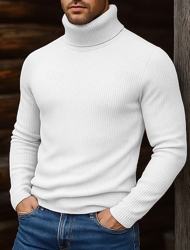  Pánské Rolák Pulovrový svetr Oříznutý svetr Rýhovaný Plést Běžné topy Úplet Bez vzoru Rolák Moderní soudobé Na běžné nošení Ležérní Práce Oblečení Podzim Zima Fialová Černá S M L