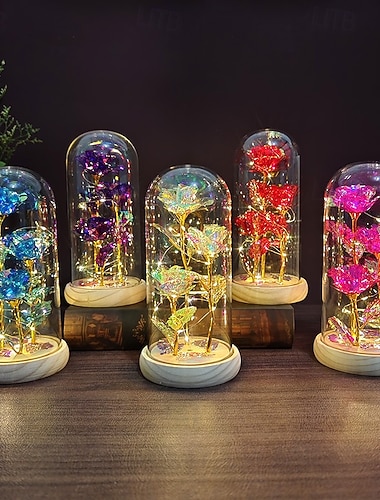  Rose en Verre Éternelle Fleur Cristal Roses Éclairées en Dôme de Verre Cadeaux pour Femmes Maman Grand-Mère Épouse Sa Sœur