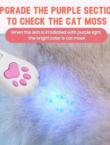  لعبة قطط كهربائية قابلة لإعادة الشحن عبر منفذ USB، مزودة بإضاءة متعددة الأنماط، وعصا تفاعلية لإثارة القطط &قطط صغيرة