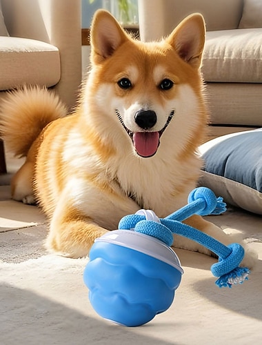  Power Tail 2.0, jouet interactif pour chien, balle sauteuse