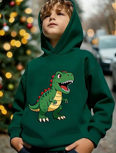  Uniseks 3D Grafisch Dinosaurus Trui met capuchon Pullover Lange mouw 3D-afdrukken Lente Herfst Sport Modieus Streetwear Kinderen 4-12 jaar Capuchon Casual Dagelijks Buiten Normale pasvorm