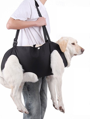  Hunder Handfri Hundebånd Sport og friluft Dyr Bærbar Justerbare Pustende Verneutstyr utendørs Sport Fritid / hverdag Hund