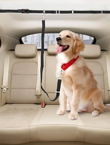  Hundebånd til lasteplan for to hunder, justerbart dobbelt sikkerhetsbånd til lasteplan med skrallestramming for hund for pickup, SUV og biler &lastebiler