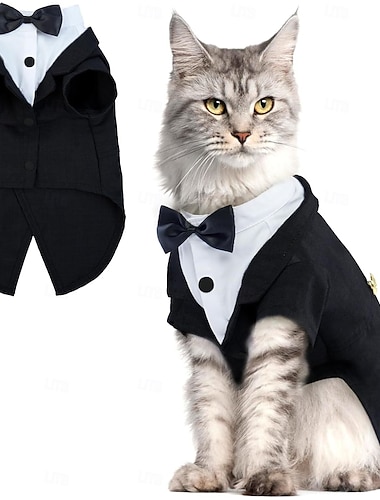  Tenue de smoking pour chat, costume de cérémonie pour chat sphynx avec nœud papillon, chemise élégante pour chat, vêtements chics, combinaison de mariage pour chaton (uniquement pour chats).