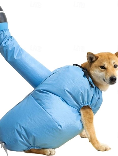  Hunder Tilbehør Dyr Vanlig Bekvem Verneutstyr Innendørs Hverdag Hund