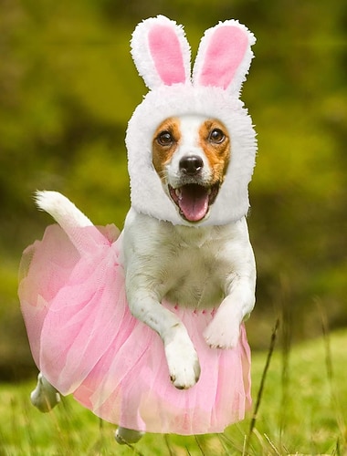  Chien Costume Mignon Chaud Doux Mode Confortable Extérieur Soirée Chien