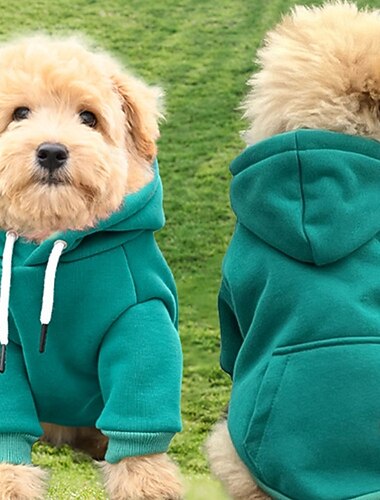  Pulls pour chiens pour la Saint-Patrick petits chiens vêtements chauds d'automne pour garçons chiot moyen avec poche en polaire pour petite fille chien sweat à capuche d'hiver pour animaux de