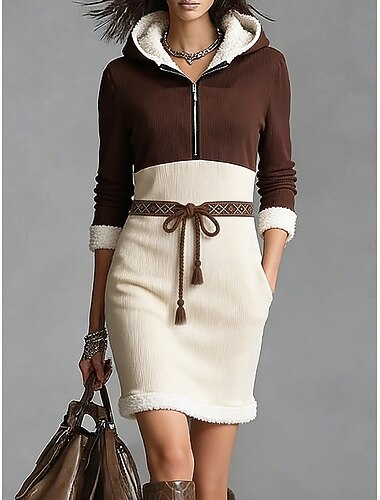  Dame Genserkjole Tubekjole Skiftkjole Årgang Mote Moderne Daglig utendørs Feriereise Tynn Fargeblokk Langermet Med hette Brun Høst Vinter