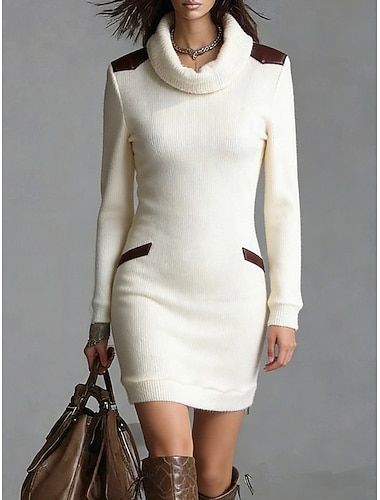  Dame Genserkjole Tubekjole Skiftkjole Mote Moderne Daglig utendørs Feriereise Tynn Fargeblokk Langermet Rullekrage Beige Høst Vinter