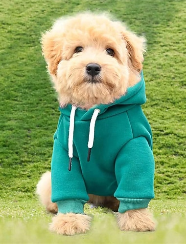  Pulls pour petits chiens, vêtements chauds d'automne pour chiens mâles, pull polaire avec poche pour chiots de taille moyenne, sweat à capuche d'hiver pour petits chiens femelles.