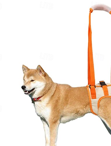  Støttebelte for bakbein for eldre hunder med funksjonsnedsettelser, skadede hunder som kommer seg, hjelpemiddel for å komme seg gjennom gang, hjelpe hunder med å gå i trapper over landegrenser