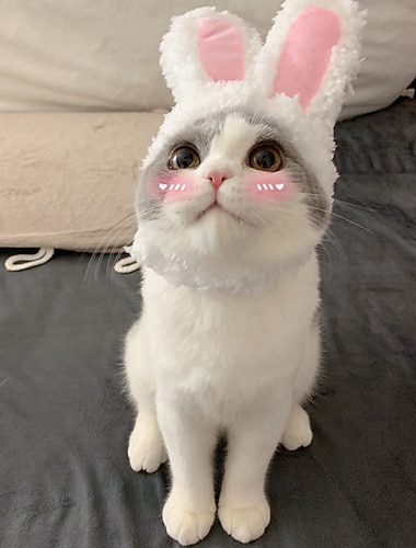  Chapéu para gato com orelhas de coelho, acessórios para cabelo de gato, chapéus fofos para gatos, boné branco com orelhas de coelho para gatos.