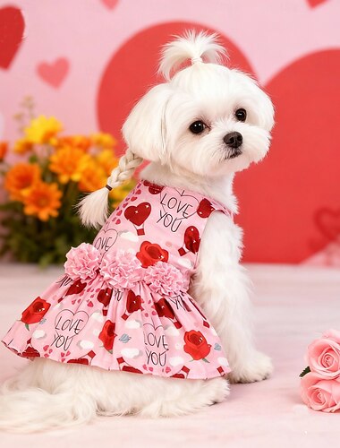  Chien Robe Mignon Doux Lavable Mode Confortable Saint-Valentin Saint-Valentin Chien