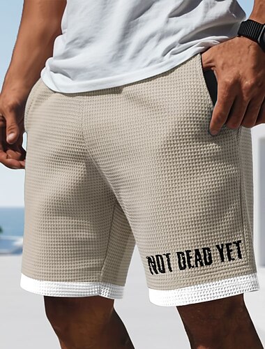  Pánské dopisní tisk FREEDOM Blokování barev Vafle šortky Neformální šortky Texturované kraťasy Středně vysoký pas Móda pro volný čas Denní Dovolená Elastická šňůrka v pase Kraťasy s kapsami Návrhář