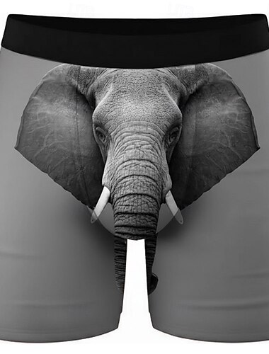  Voor heren dier Olifant Rekbare boxershorts Zwembroek Boxer Zwemshorts Hawaii Casual Huis Strandvakantie Elastische tailleband Vochtregulerend Ademend ondergoed Ontwerper Kleding